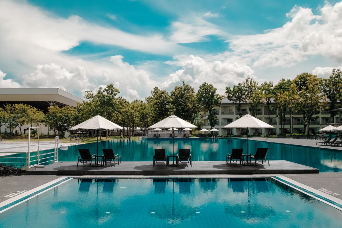 Grande piscine avec transats et parasols dans un cadre arboré